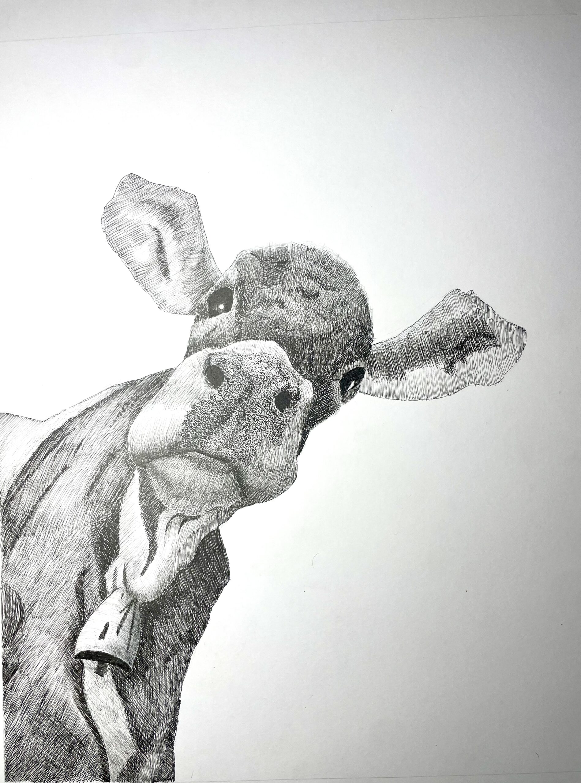 FullSizeRender - Bo Delgado(1)